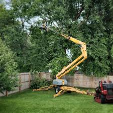 Best Tree Removal  in Brown Deer, WI