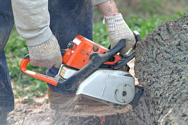 Mulching Services in Brown Deer, WI